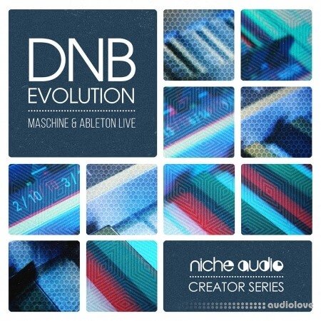 Niche Audio Creator Series DnB Evolution