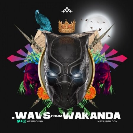 MSXII Sound Design WAVS From Wakanda Drums and Percussion (Sample Pack) WAV