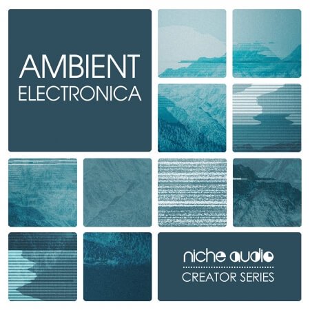 Niche Audio Ambient Electronica