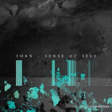 Torn Sense of Self (Sample Pack)