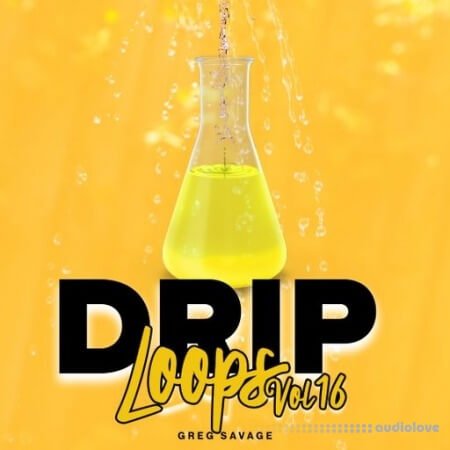 DiyMusicBiz Drip Loops Vol 16