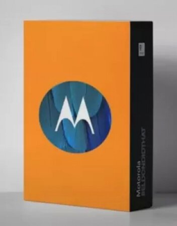 BeldonDidThat Motorola (Loop Kit)