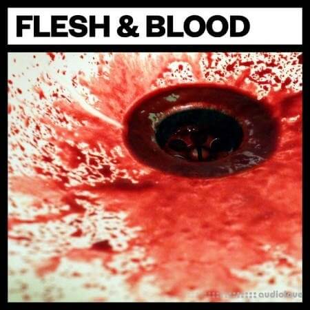 Big Room Sound Flesh and Blood