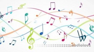 Udemy How To Count Beats and Gain Rhythm | How to Develop Rhythm!