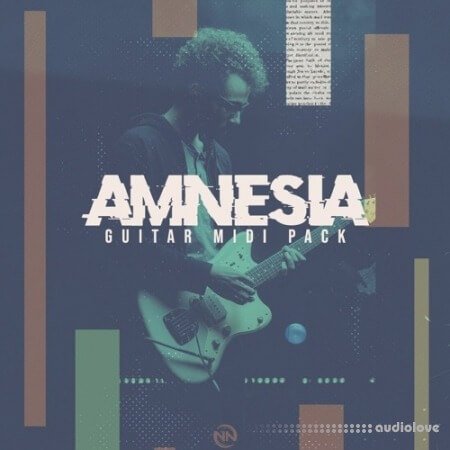 New Nation Amnesia Guitar