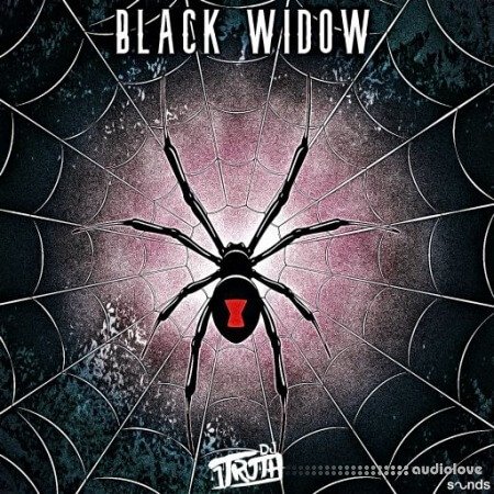 DJ 1Truth Black Widow WAV