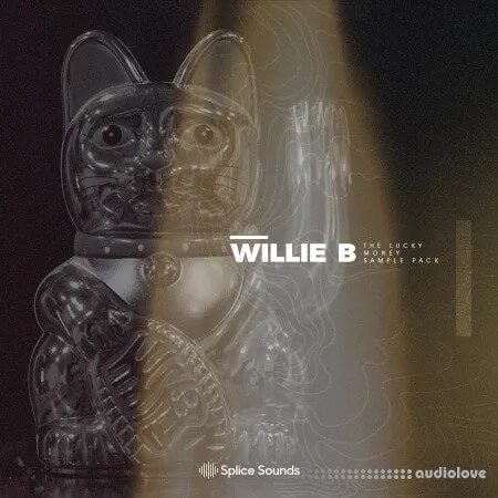 Splice Sounds Willie B The Lucky Money Sample Pack
