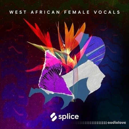 Splice Sessions West African Female Vocals WAV