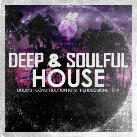 Dirty Music Deep and Soulful House WAV