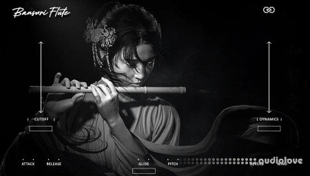 Infinite Audio Bansuri Flute VST3 / AU