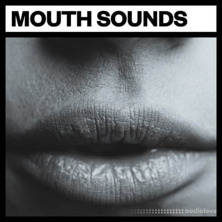 Big Room Sound Mouth Sounds WAV
