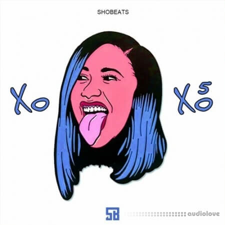 Shobeats XOXO Vol.5 WAV MiDi Synth Presets