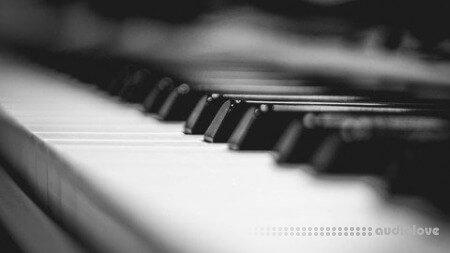 Udemy Basic Music Theory And Piano Class Without A Piano