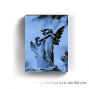 Freakquincy Angels Drum Kit