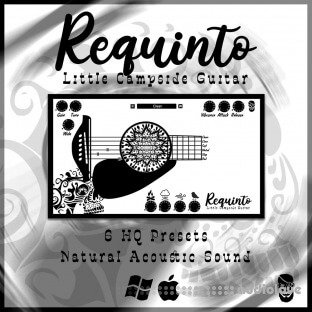 Pyrit Music Requinto Little Campside Guitar