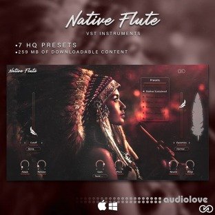 Infinite Audio Native Flute