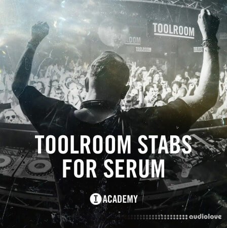 Toolroom Stabs For Serum Synth Presets