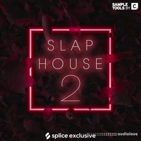 Sample Tools by Cr2 Slap House 2 WAV