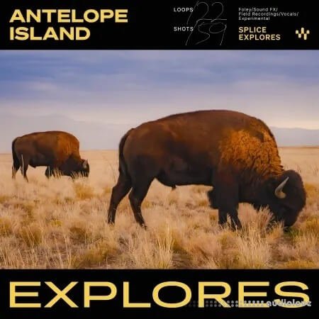 Splice Explores Antelope Island WAV