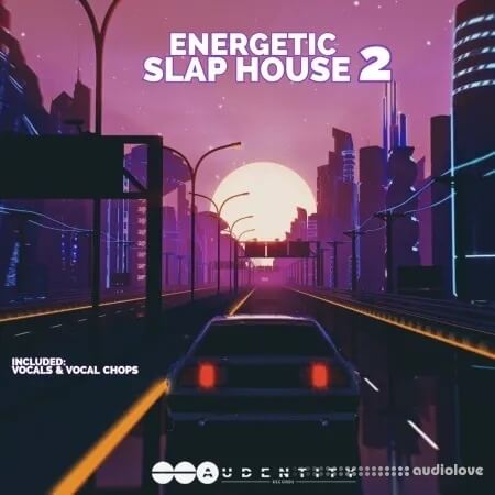 Audentity Records Energetic Slap House 2