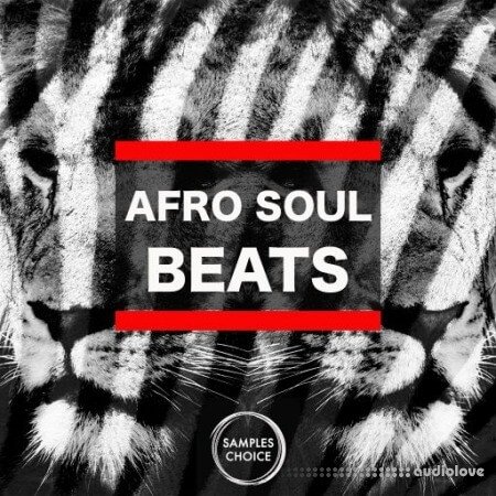 Samples Choice Afro Soul Beats