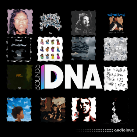 Billboard DNA Sounds DRAKE DNA Drumkit