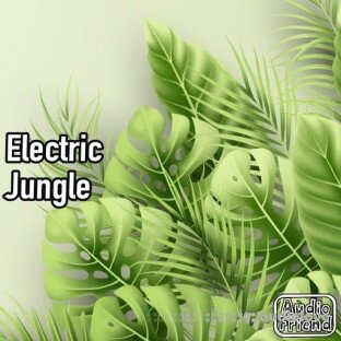 AudioFriend Electric Jungle