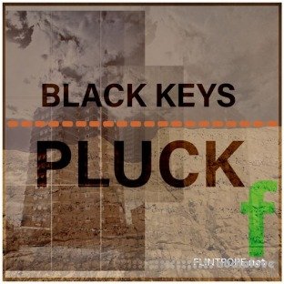 Flintpope BLACK KEYS PLUCK