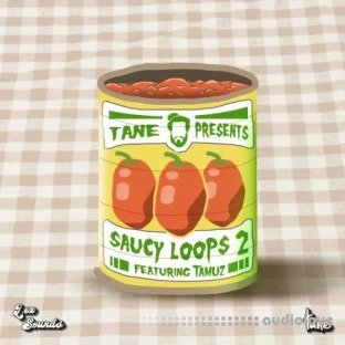 LEX Sounds Saucy Loops 2