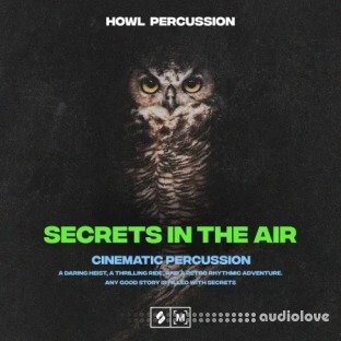 Montage By Splice Secrets In The Air Cinematic Percussion