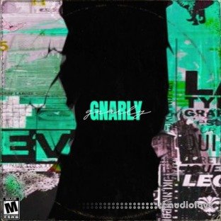 Dynasty Loops Gnarly