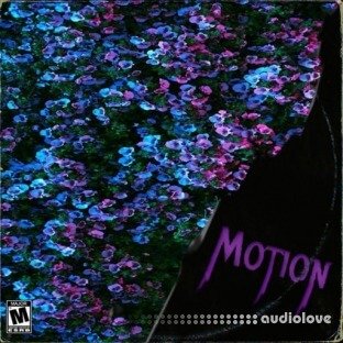 Dynasty Loops Motion