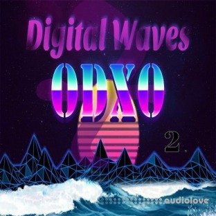 HOOKSHOW Digital Waves 2