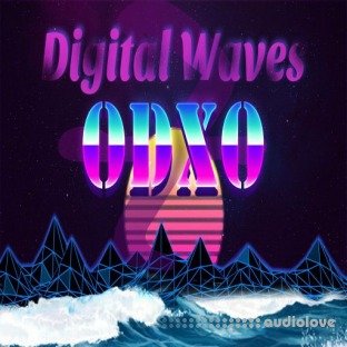 HOOKSHOW Digital Waves