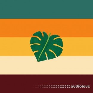 WeTheSound African Dreamscape