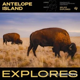 Splice Explores Antelope Island