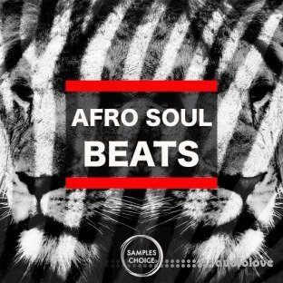 Samples Choice Afro Soul Beats