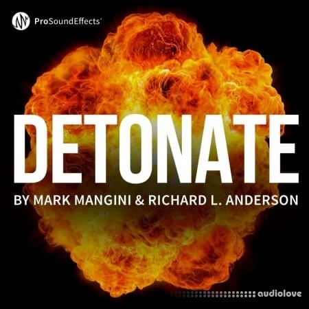 Pro Sound Effects Detonate WAV