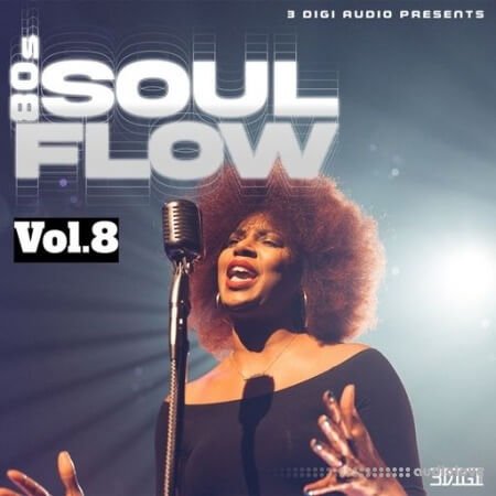 Innovative Samples 80's Soul Flow Vol.8