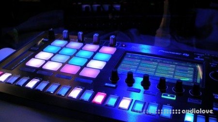 Udemy Music Production How To Make Deep House In Ableton Live