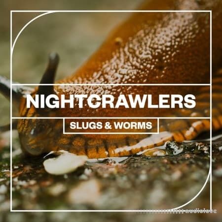Blastwave FX Nightcrawlers: Slugs and Worms