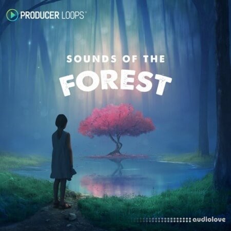 Producer Loops Sounds of the Forest
