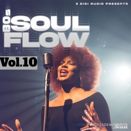 Innovative Samples 80's Soul Flow Vol.10