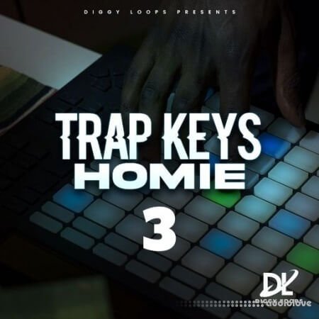 HOOKSHOW Trap Keys Homie 3