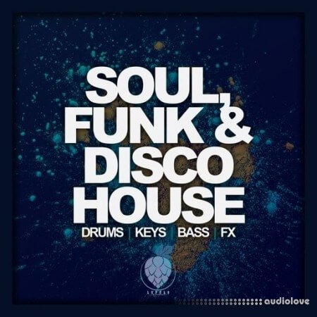 Dirty Music Soul Funk and Disco House WAV