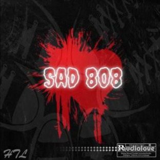 Dynasty Loops Sad 808
