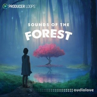 Producer Loops Sounds of the Forest