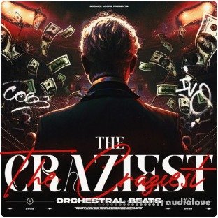 Oneway Audio The Craziest