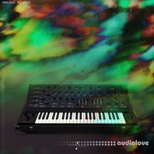 Touch Loops Analogue Melodics