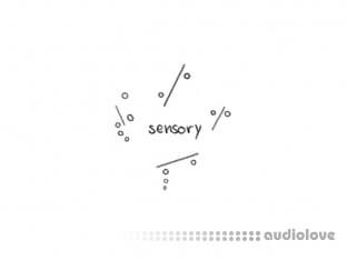Imago Meri Sensory